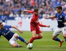 开云下载-弗赖堡客场击败对手，取得宝贵三分