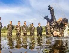 开云平台-关于DFM血洗BRO，Crisp操刀奇招英雄翻盘鏖战多局淘汰赛，引爆全场热议的信息