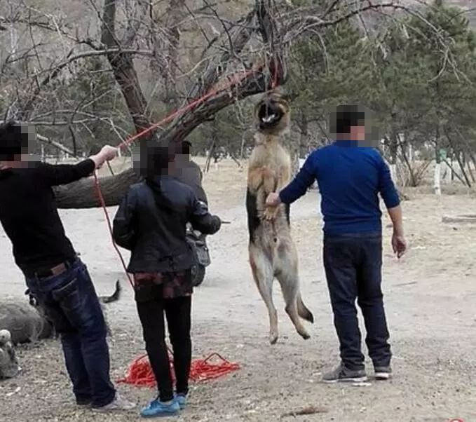 开云官网-和对手杀个你死我活：场面血腥可期的简单介绍