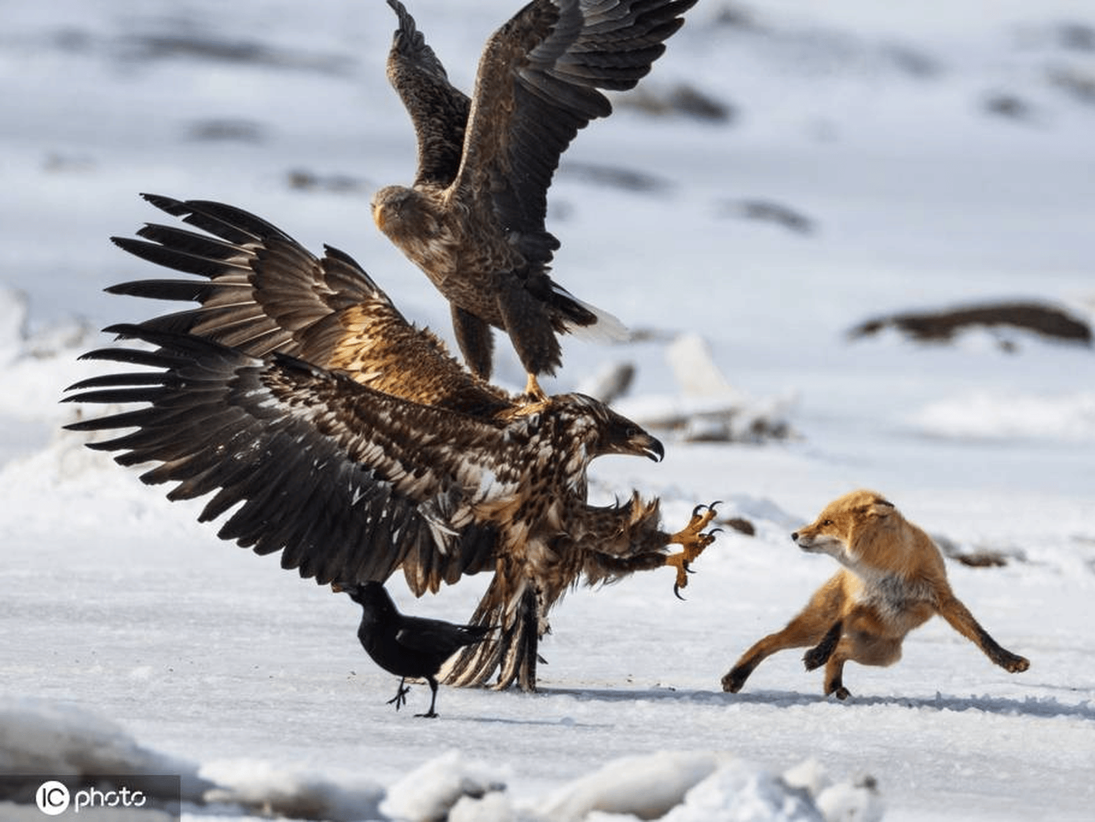 开云官方app入口-比赛中出现的精彩一幕引发观众欢呼